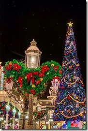 MAGIC KINGDOM | MouseMingle.com